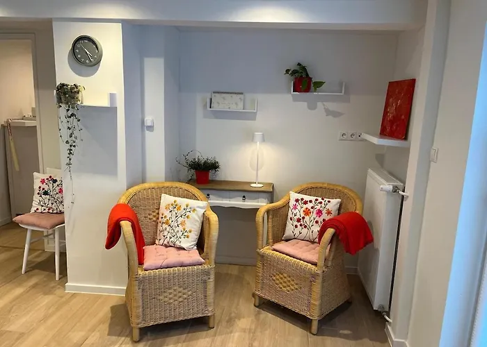 Rheinzeit 度假居 *